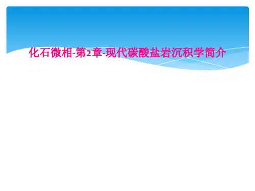 化石微相-第2章-现代碳酸盐岩沉积学简介