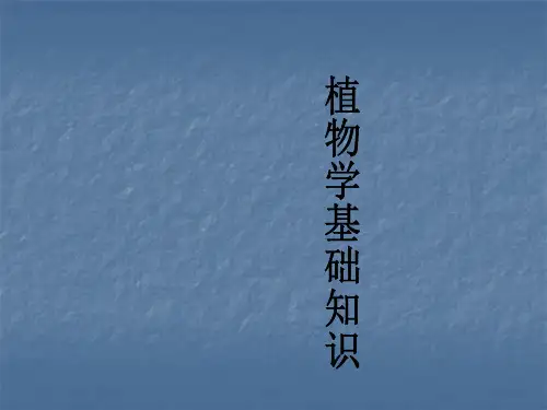 植物学基础知识
