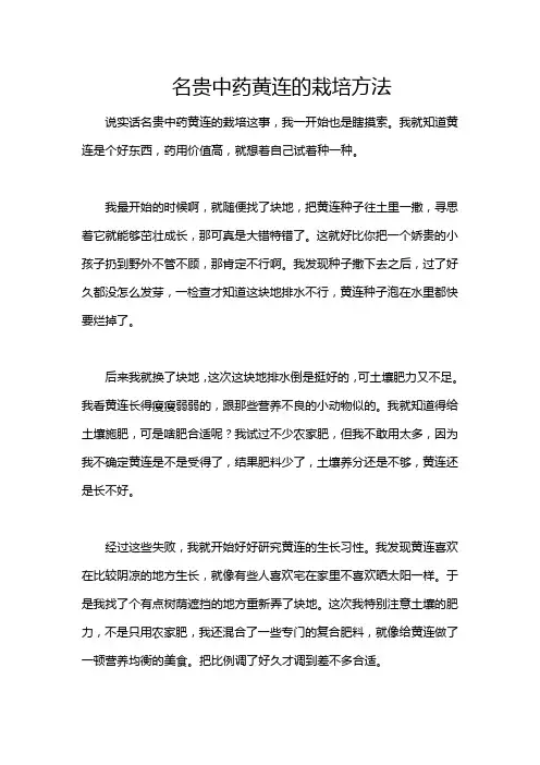 名贵中药黄连的栽培方法