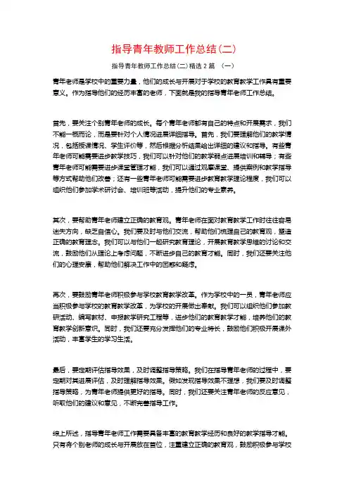 指导青年教师工作总结2篇
