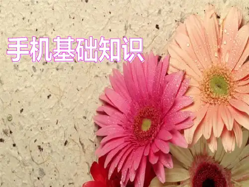手机基础知识 PPT课件