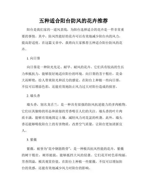 五种适合阳台防风的花卉推荐