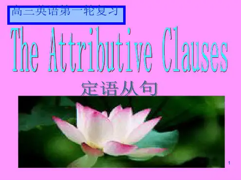 高一定语从句的优质完整最新PPT课件