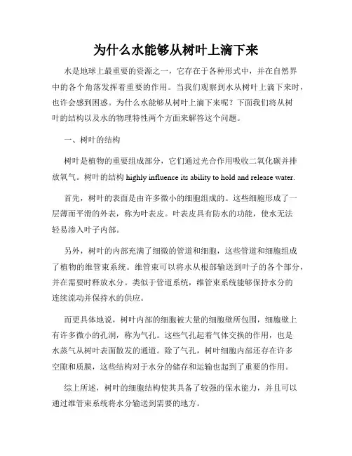 为什么水能够从树叶上滴下来