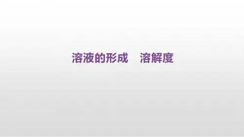 中考化学复习 溶液的形成 溶解度