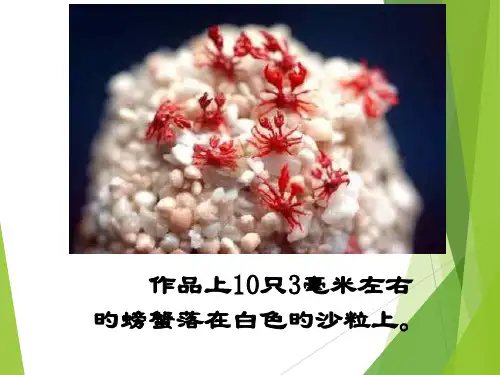 《核舟记》优秀教案一等奖市公开课获奖课件省名师示范课获奖课件