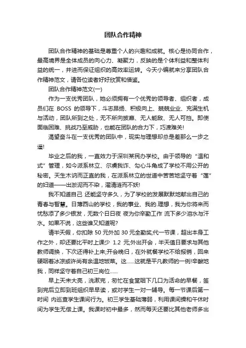 团队合作精神