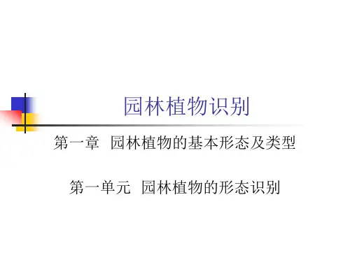 园林植物形态识别