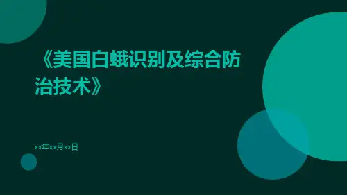 美国白蛾识别及综合防治技术
