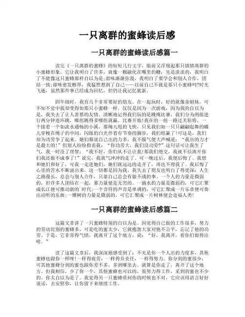 一只离群的蜜蜂读后感