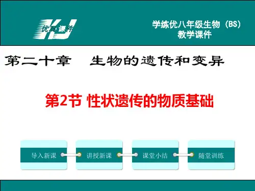 《性状遗传的物质基础》PPT课件 北师版