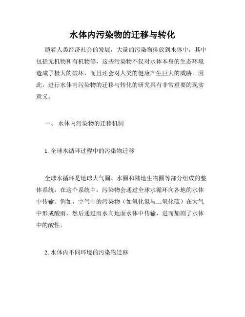 水体内污染物的迁移与转化