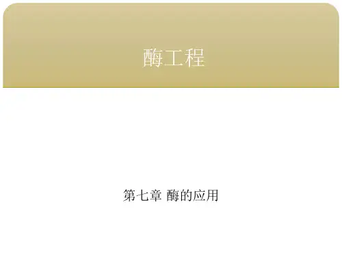 酶工程 第七章酶的应用 第三节酶在轻工、化工方面的应用