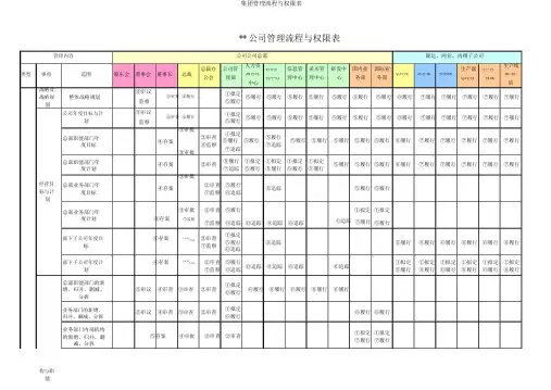 集团管理流程与权限表