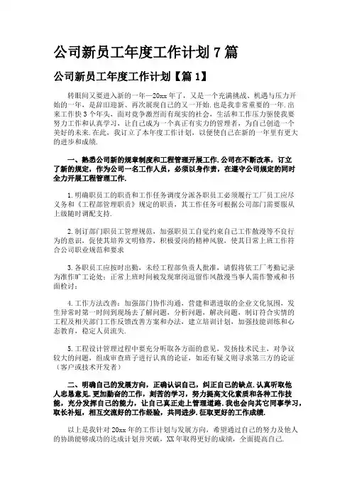 公司新员工年度工作计划7篇