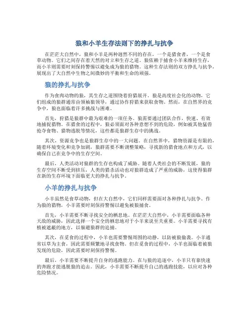狼和小羊生存法则下的挣扎与抗争