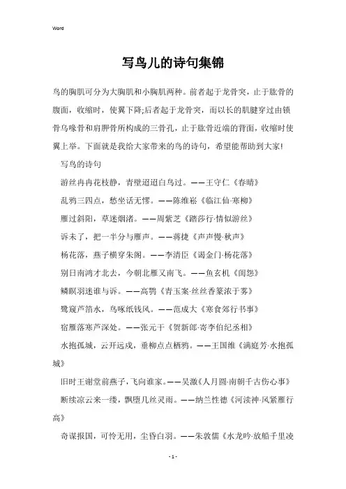 写鸟儿的诗句集锦