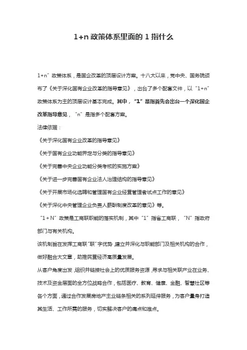1+n政策体系里面的1指什么