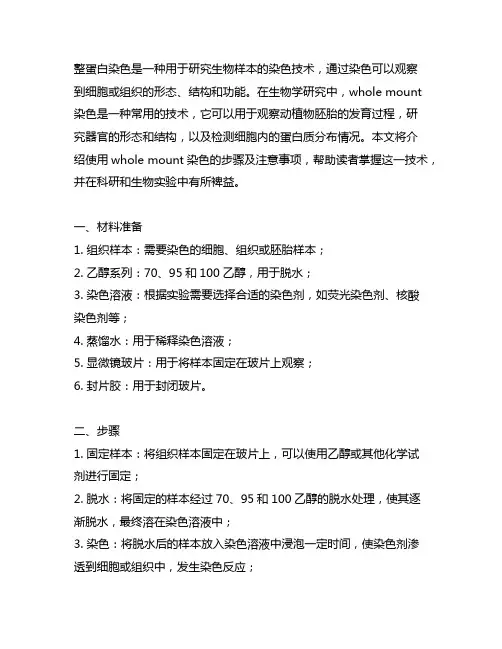 whole mount染色步骤