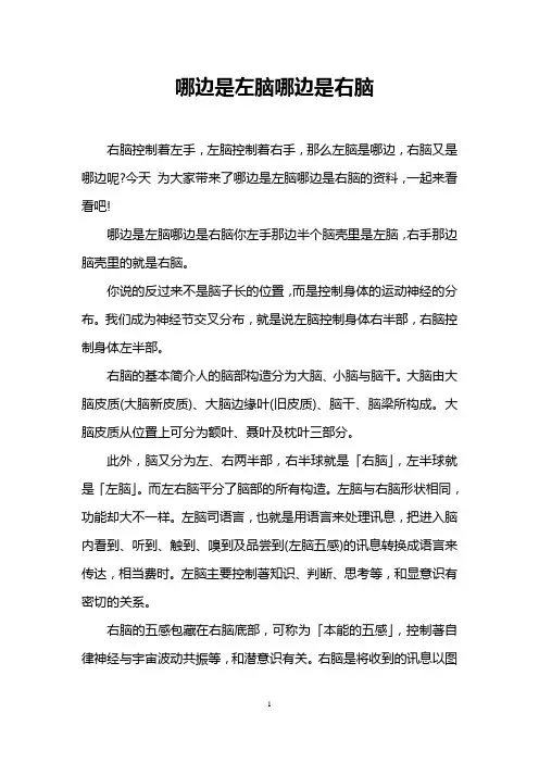 哪边是左脑哪边是右脑