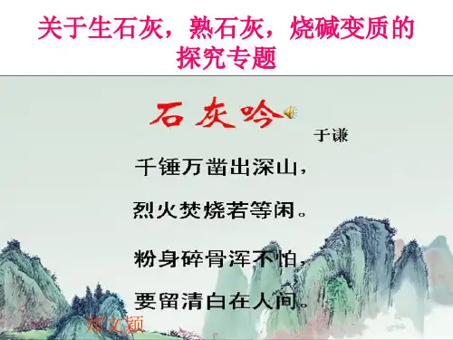 初三化学_探究复习专题1_碱石灰变质