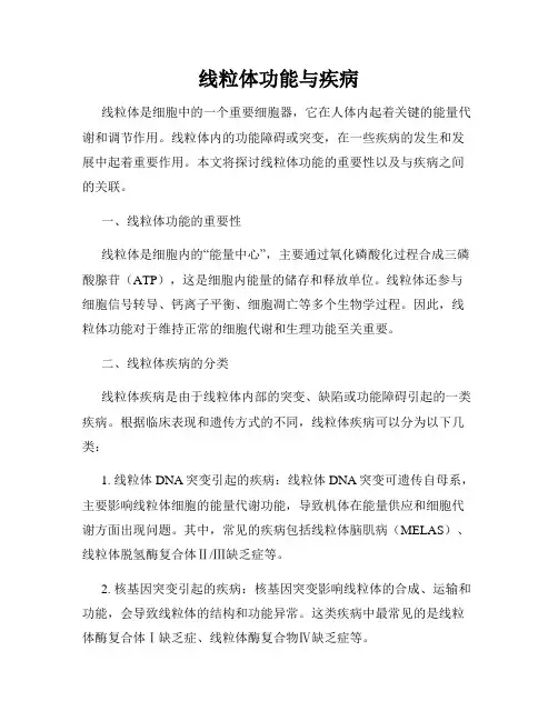 线粒体功能与疾病