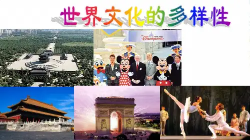 高中政治 第六课之《世界文化的多样性》课件 新人教必修3