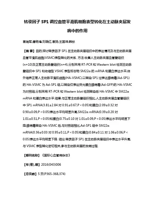 转录因子SP1调控血管平滑肌细胞表型转化在主动脉夹层发病中的作用