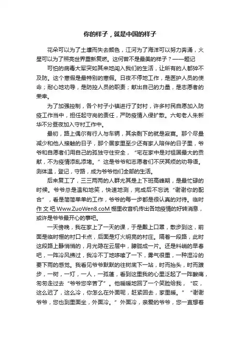 你的样子，就是中国的样子