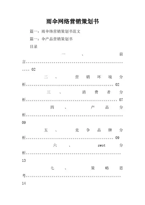 雨伞网络营销策划书