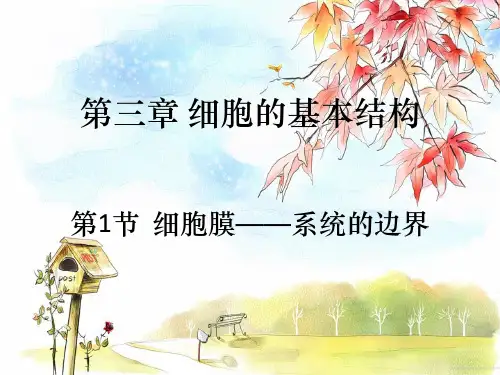 高中生物必修一第3章第1节细胞膜——系统的边界  课件(共16张PPT)(完美版课件)