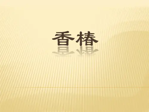 香椿