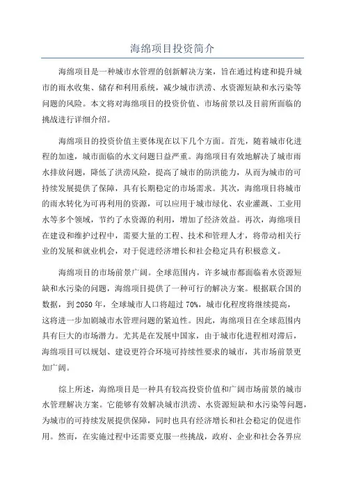 海绵项目投资简介