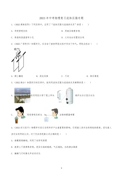 2023年中考物理复习流体压强专题