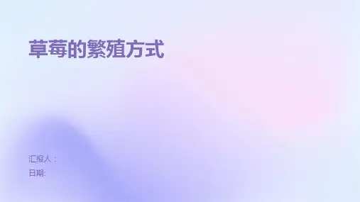 草莓的繁殖方式