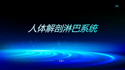 《人体解剖淋巴系统》课件