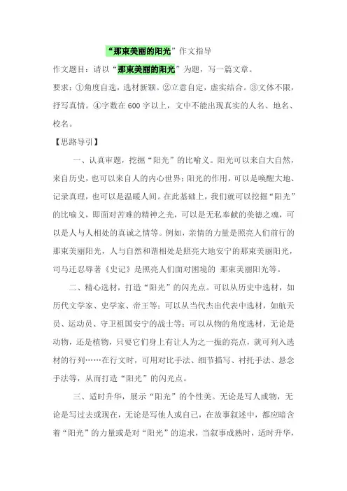 那束美丽的阳光作文指导分析