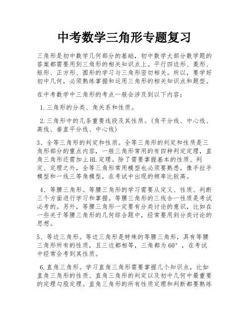 中考数学三角形专题复习 