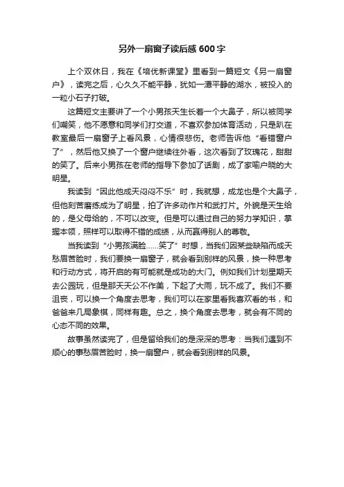 另外一扇窗子读后感600字