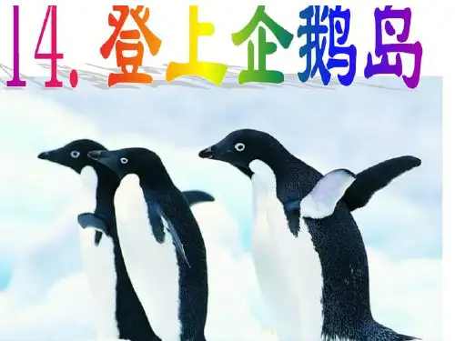 登上企鹅岛1PPT课件
