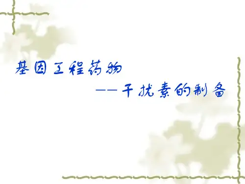 干扰素的工艺制备流程