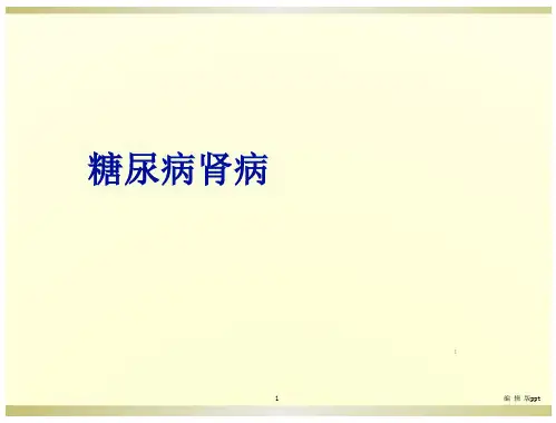 糖尿病肾病病理课件