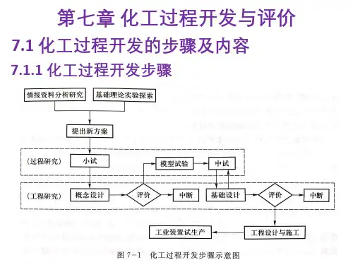 第七章 化工过程开发与评价