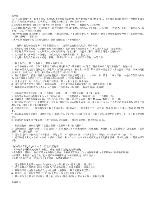局部解剖学填空 名词解释 问答复习题