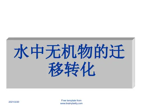 电子教案与课件：《环境化学》课件 6 水中无机物的迁移转化