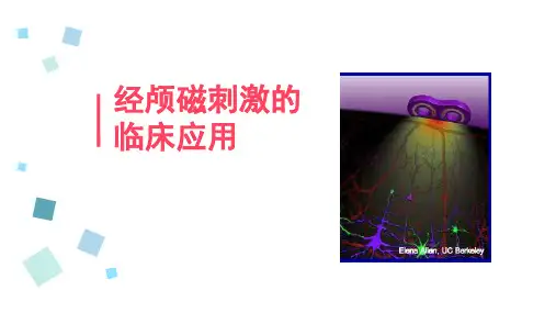 经颅磁刺激的临床应用