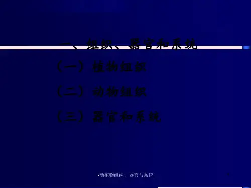 动植物组织器官与系统
