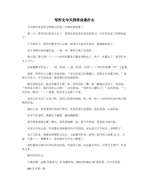 写作文今天的作业是什么