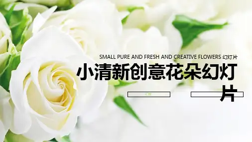 创意PPT模板 (9)