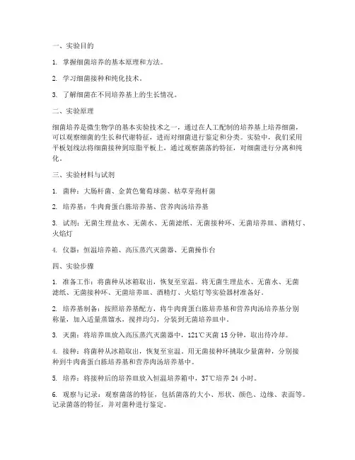 细菌培养细菌实验报告